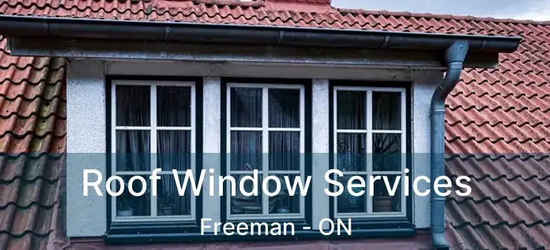  Roof Window Services Freeman - ON