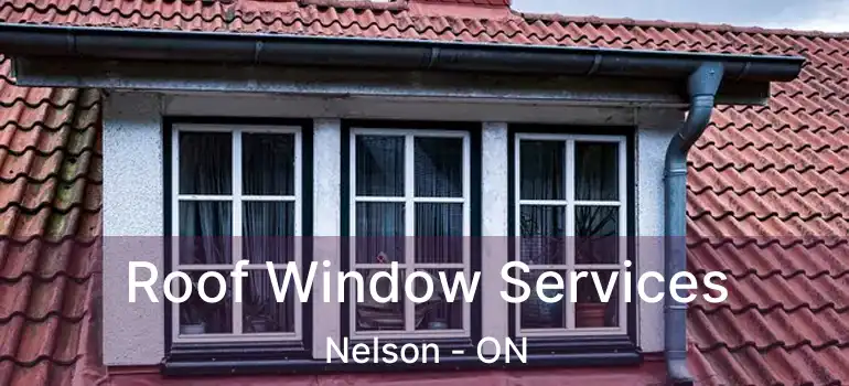  Roof Window Services Nelson - ON