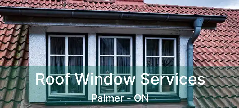  Roof Window Services Palmer - ON