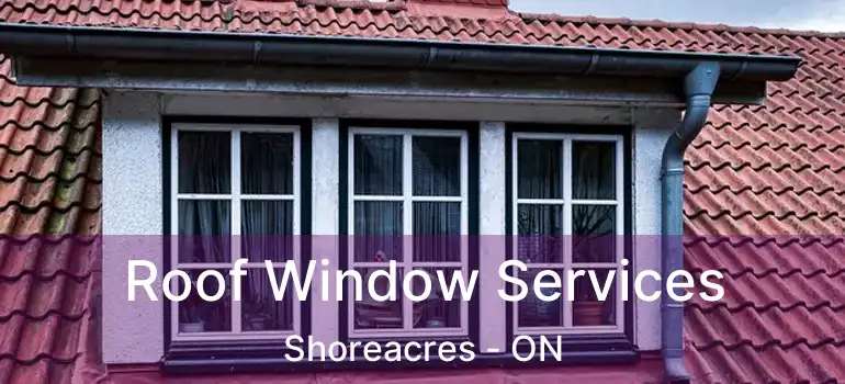  Roof Window Services Shoreacres - ON