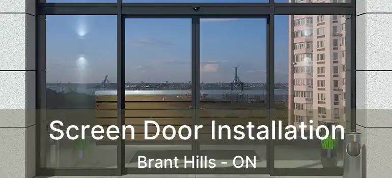  Screen Door Installation Brant Hills - ON