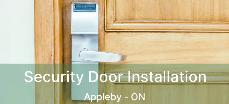  Security Door Installation Appleby - ON