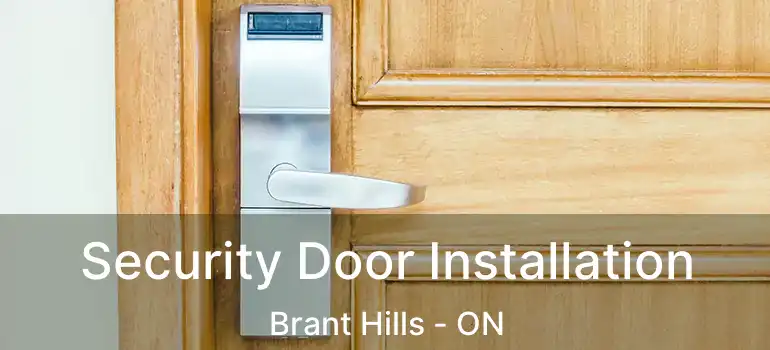  Security Door Installation Brant Hills - ON