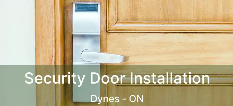  Security Door Installation Dynes - ON