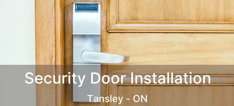  Security Door Installation Tansley - ON