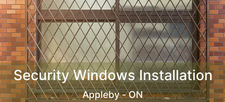  Security Windows Installation Appleby - ON