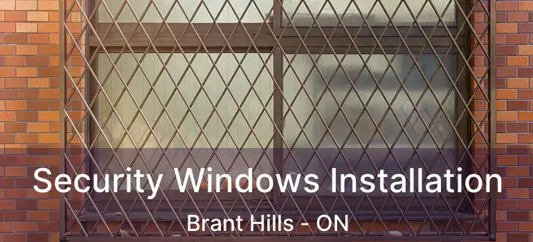  Security Windows Installation Brant Hills - ON