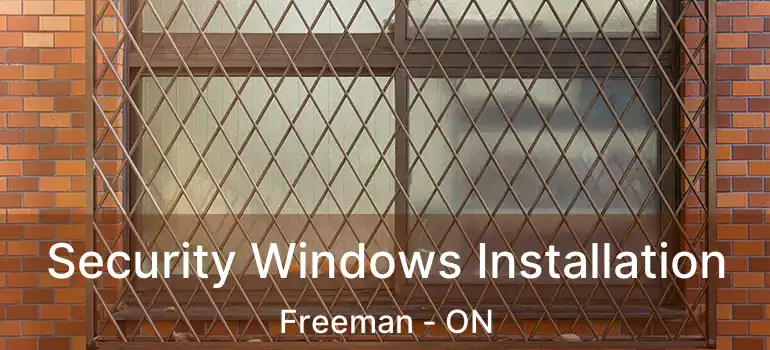  Security Windows Installation Freeman - ON