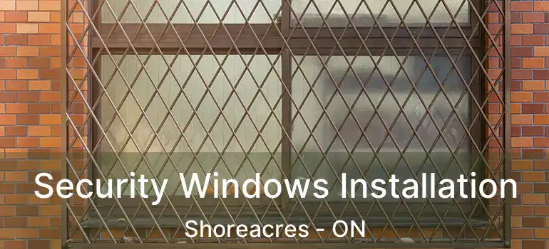  Security Windows Installation Shoreacres - ON