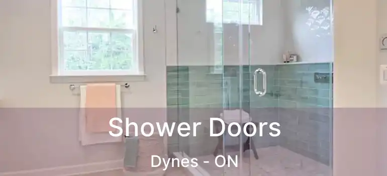  Shower Doors Dynes - ON