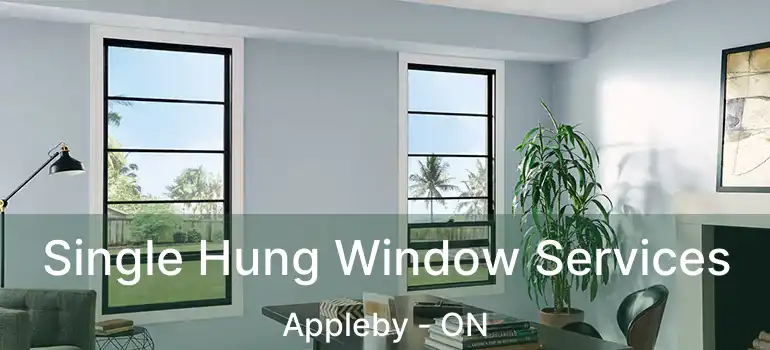  Single Hung Window Services Appleby - ON