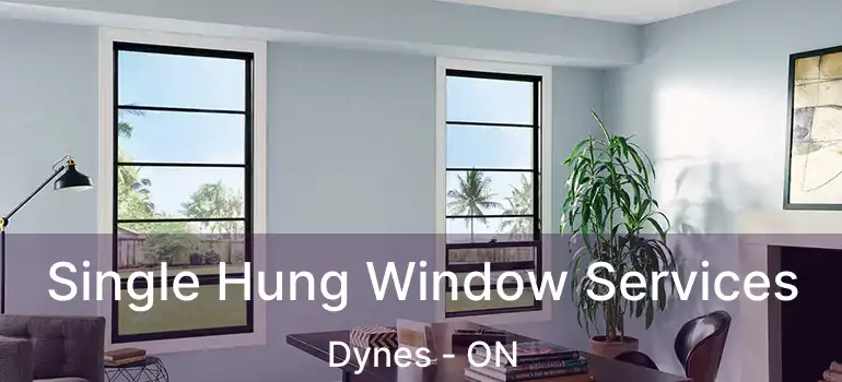  Single Hung Window Services Dynes - ON