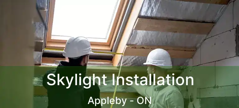  Skylight Installation Appleby - ON