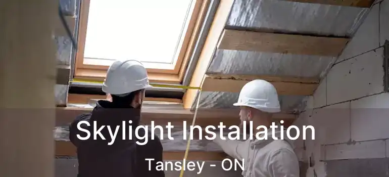  Skylight Installation Tansley - ON