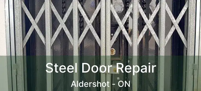  Steel Door Repair Aldershot - ON