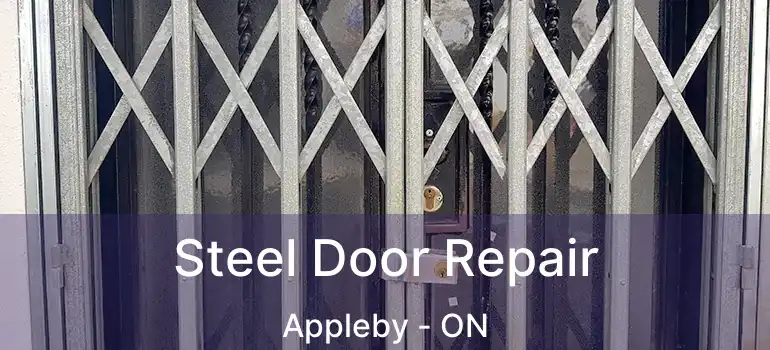  Steel Door Repair Appleby - ON