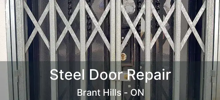  Steel Door Repair Brant Hills - ON