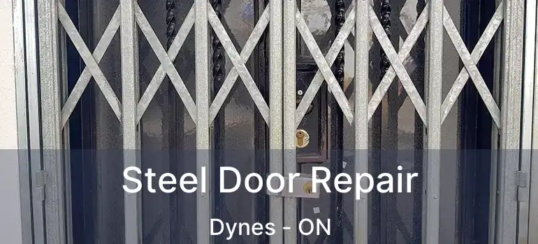  Steel Door Repair Dynes - ON