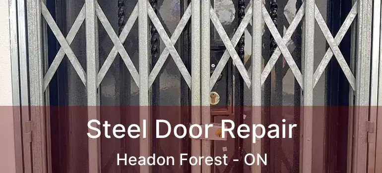  Steel Door Repair Headon Forest - ON