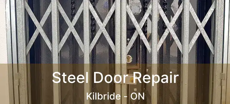  Steel Door Repair Kilbride - ON