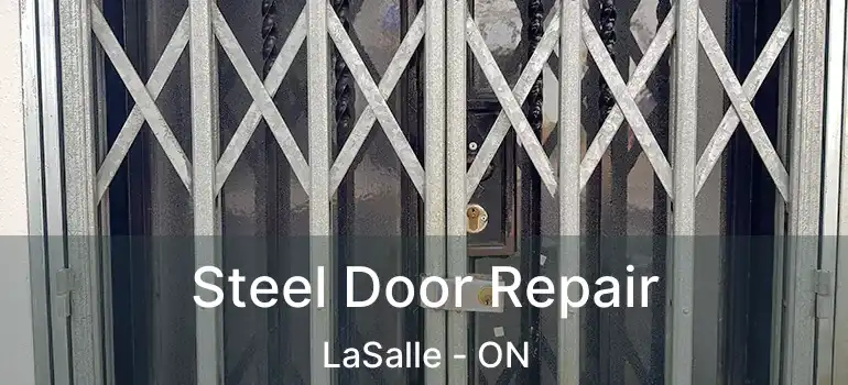  Steel Door Repair LaSalle - ON