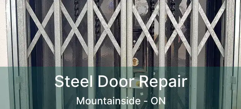  Steel Door Repair Mountainside - ON