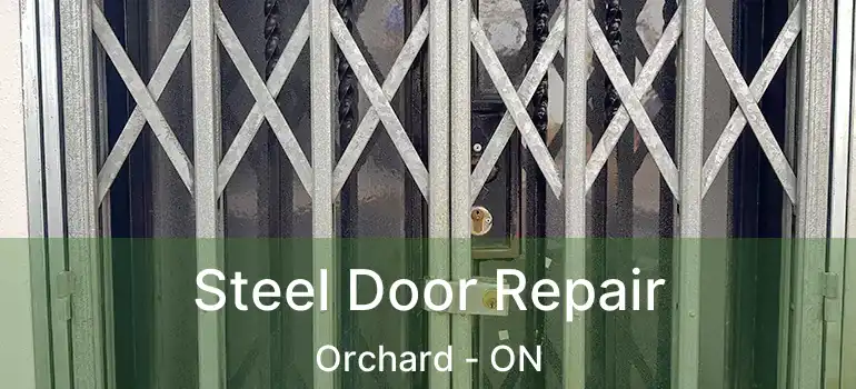  Steel Door Repair Orchard - ON