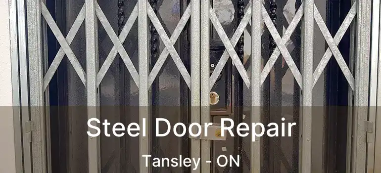  Steel Door Repair Tansley - ON