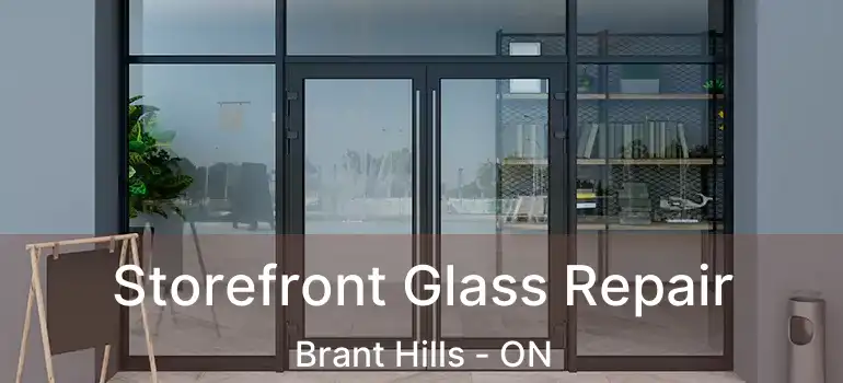  Storefront Glass Repair Brant Hills - ON