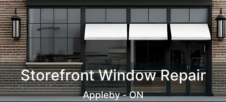  Storefront Window Repair Appleby - ON