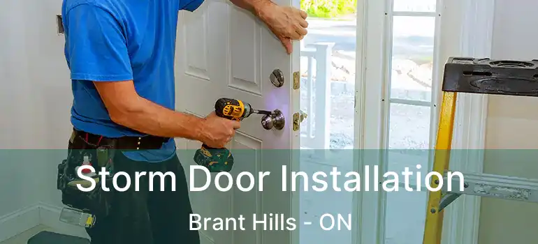  Storm Door Installation Brant Hills - ON