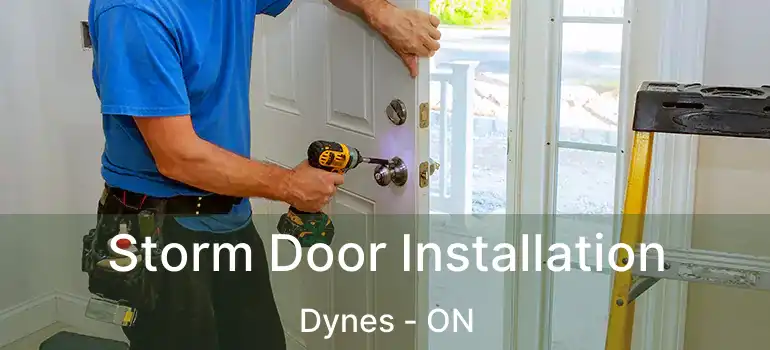  Storm Door Installation Dynes - ON