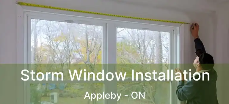  Storm Window Installation Appleby - ON