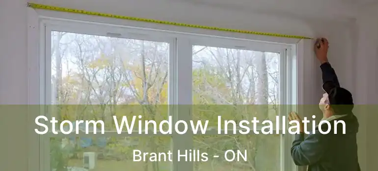  Storm Window Installation Brant Hills - ON