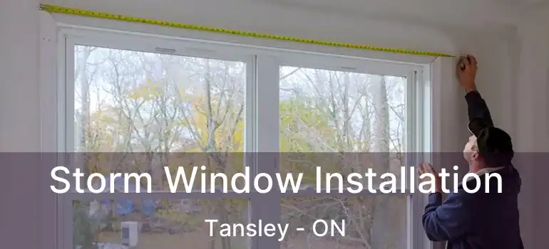  Storm Window Installation Tansley - ON