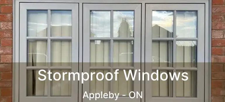  Stormproof Windows Appleby - ON