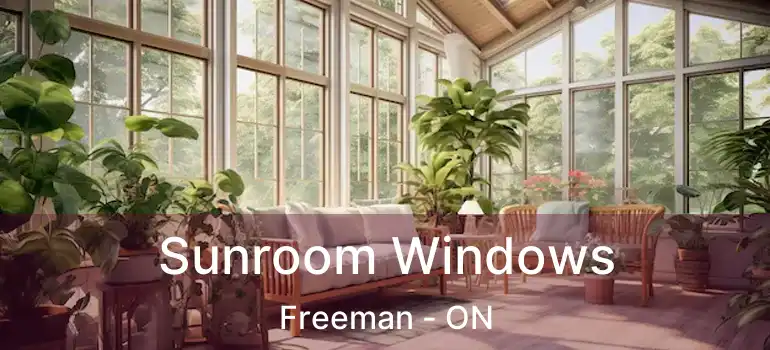  Sunroom Windows Freeman - ON
