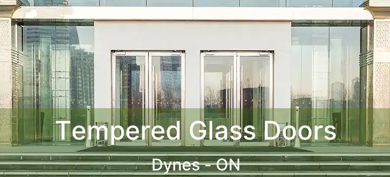  Tempered Glass Doors Dynes - ON