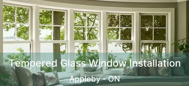  Tempered Glass Window Installation Appleby - ON