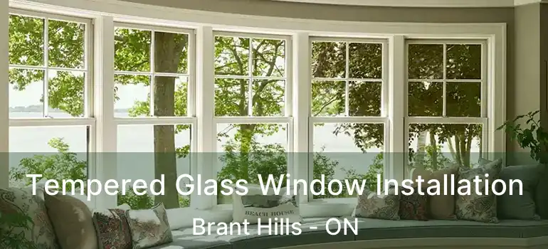  Tempered Glass Window Installation Brant Hills - ON