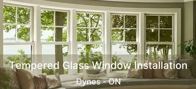  Tempered Glass Window Installation Dynes - ON