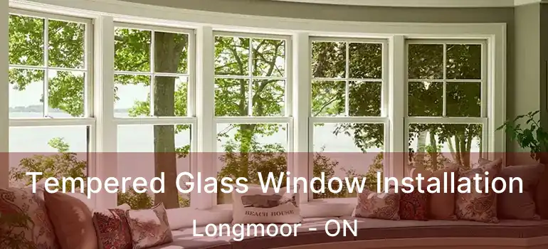  Tempered Glass Window Installation Longmoor - ON