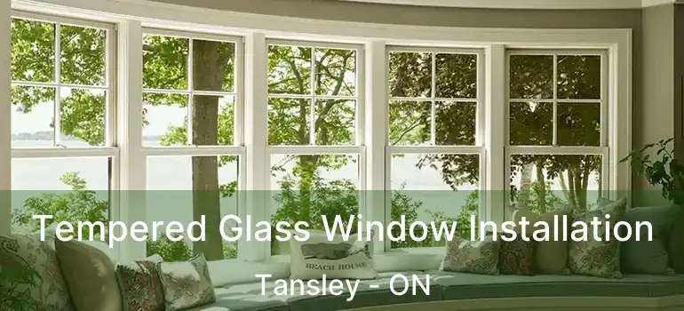  Tempered Glass Window Installation Tansley - ON