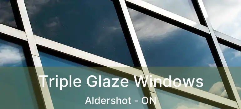  Triple Glaze Windows Aldershot - ON