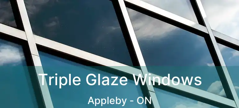  Triple Glaze Windows Appleby - ON
