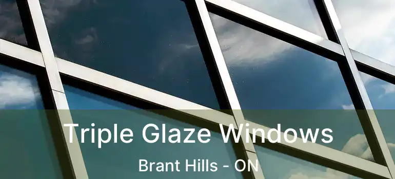  Triple Glaze Windows Brant Hills - ON