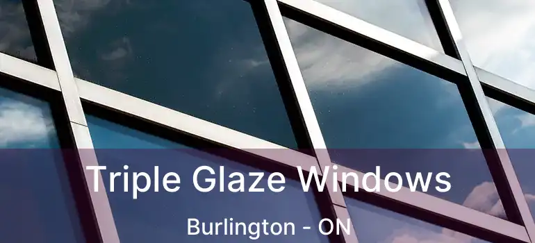  Triple Glaze Windows Burlington - ON