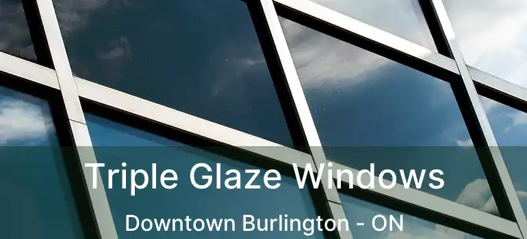  Triple Glaze Windows Downtown Burlington - ON
