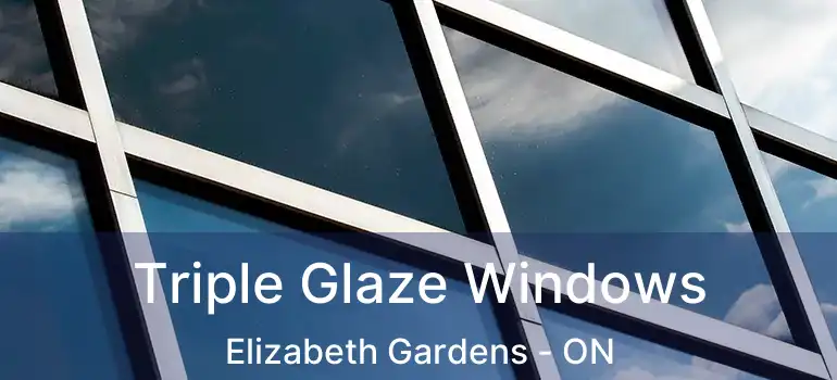  Triple Glaze Windows Elizabeth Gardens - ON