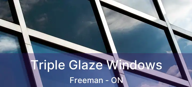  Triple Glaze Windows Freeman - ON